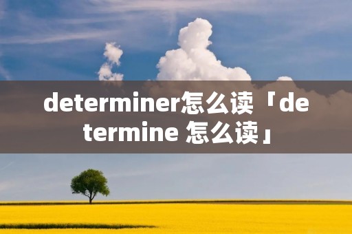 determiner怎么读「determine 怎么读」