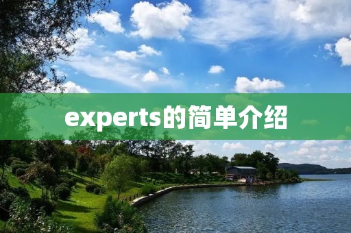 experts的简单介绍