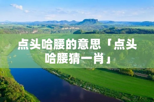 点头哈腰的意思「点头哈腰猜一肖」