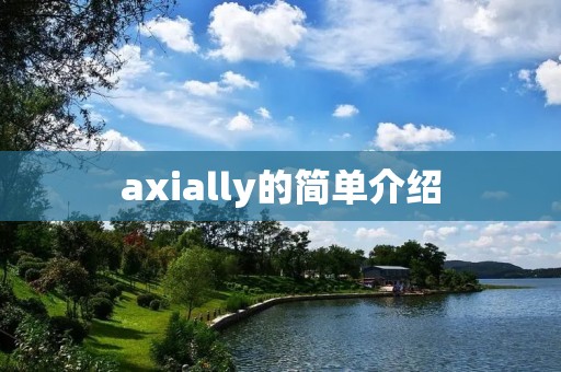 axially的简单介绍 axially的简单介绍