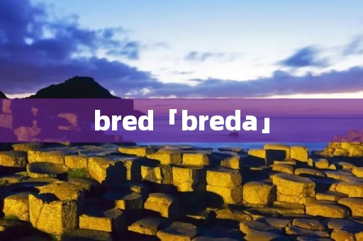 bred「breda」