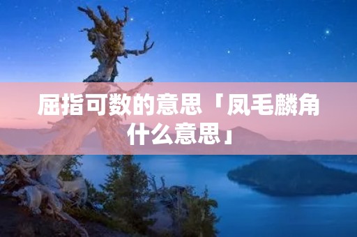 屈指可数的意思「凤毛麟角什么意思」
