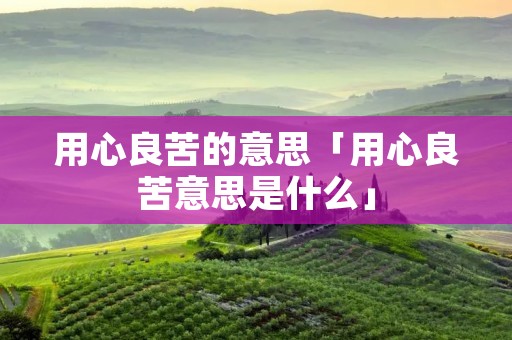 用心良苦的意思「用心良苦意思是什么」