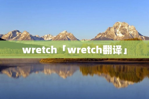 wretch「wretch翻译」