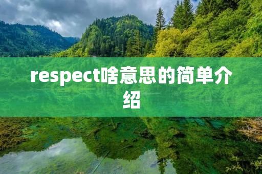 respect啥意思的简单介绍
