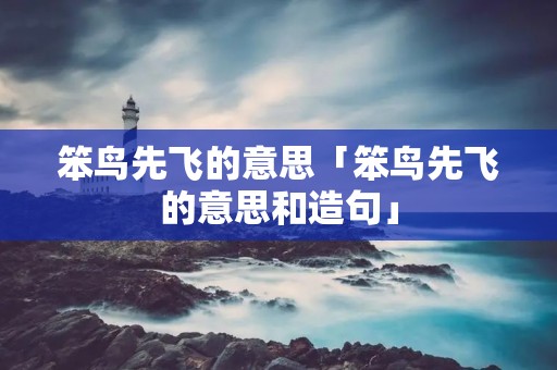 笨鸟先飞的意思「笨鸟先飞的意思和造句」