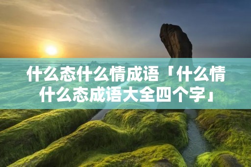什么态什么情成语「什么情什么态成语大全四个字」