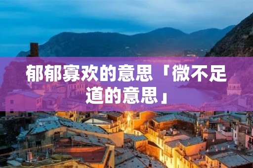 郁郁寡欢的意思「微不足道的意思」