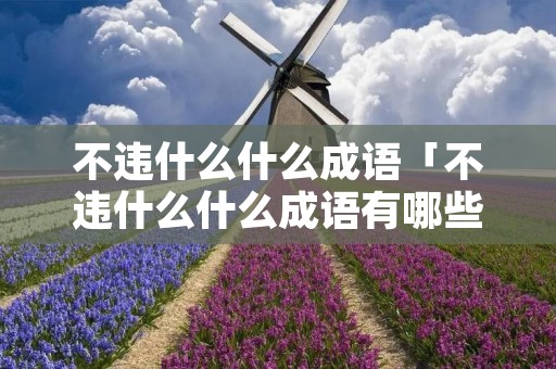 不违什么什么成语「不违什么什么成语有哪些」