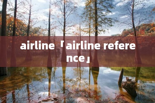 airline「airline reference」 airline「airline reference」