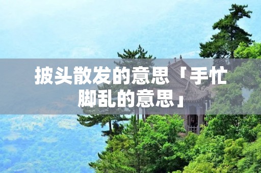 披头散发的意思「手忙脚乱的意思」