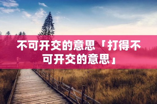 不可开交的意思「打得不可开交的意思」
