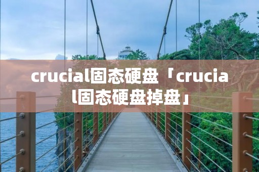 crucial固态硬盘「crucial固态硬盘掉盘」 crucial固态硬盘「crucial固态硬盘掉盘」
