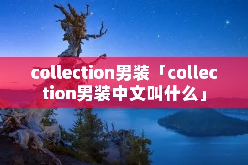 collection男装「collection男装中文叫什么」