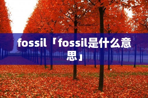 fossil「fossil是什么意思」