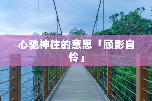 心驰神往的意思「顾影自怜」