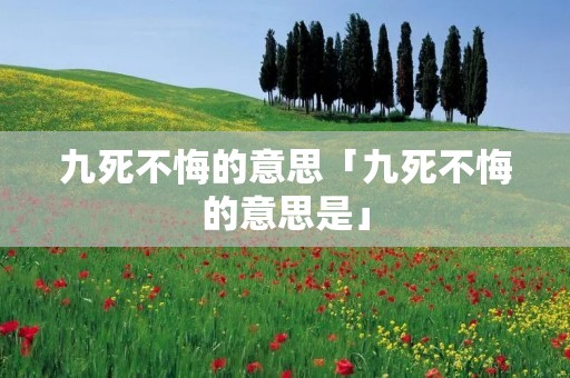 九死不悔的意思「九死不悔的意思是」