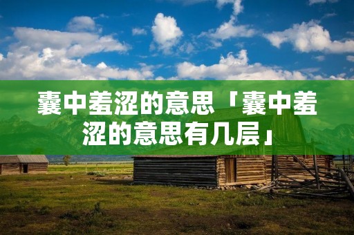 囊中羞涩的意思「囊中羞涩的意思有几层」