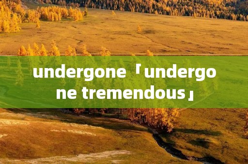 undergone「undergone tremendous」 undergone「undergone tremendous」