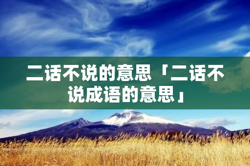 二话不说的意思「二话不说成语的意思」