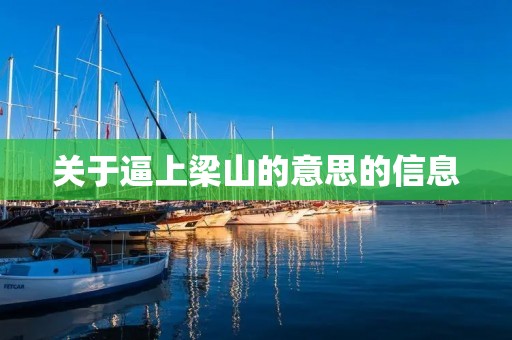 关于逼上梁山的意思的信息