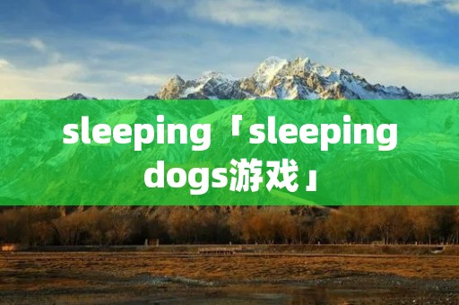 sleeping「sleepingdogs游戏」