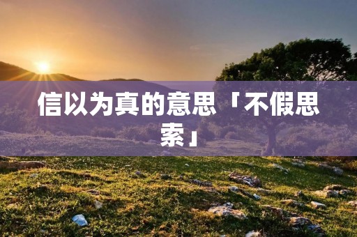 信以为真的意思「不假思索」