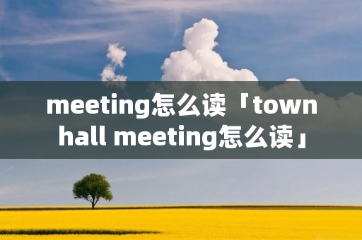 meeting怎么读「townhall meeting怎么读」