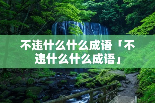 不违什么什么成语「不违什么什么成语」