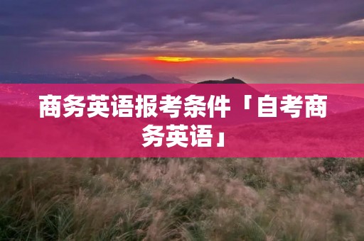商务英语报考条件「自考商务英语」