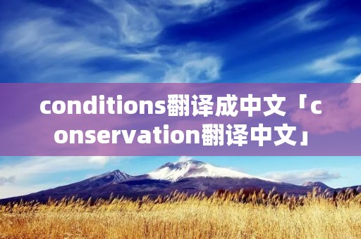 conditions翻译成中文「conservation翻译中文」