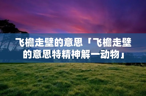 飞檐走壁的意思「飞檐走壁的意思特精神解一动物」