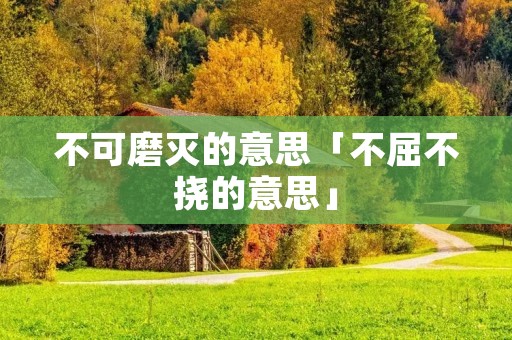 不可磨灭的意思「不屈不挠的意思」
