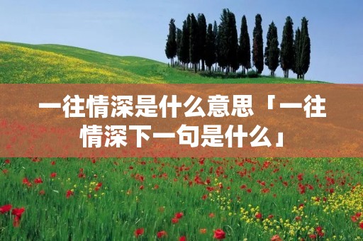 一往情深是什么意思「一往情深下一句是什么」