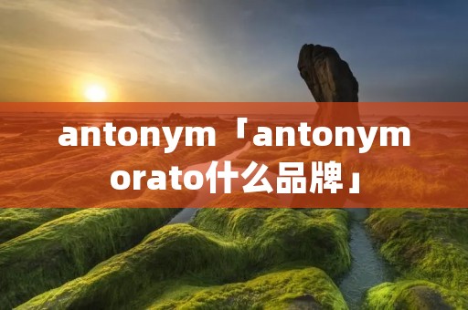 antonym「antonymorato什么品牌」