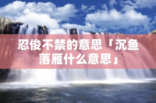 忍俊不禁的意思「沉鱼落雁什么意思」