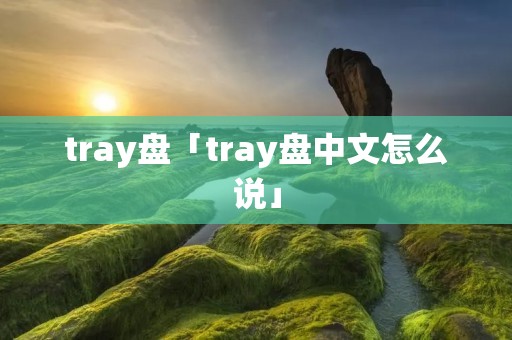 tray盘「tray盘中文怎么说」
