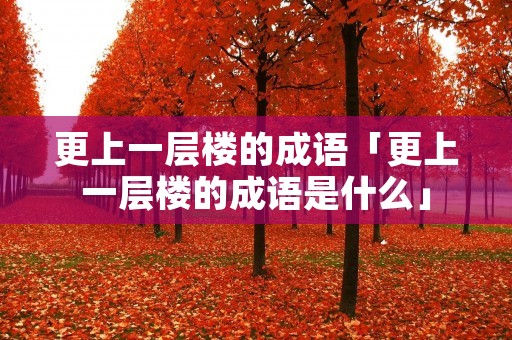 更上一层楼的成语「更上一层楼的成语是什么」