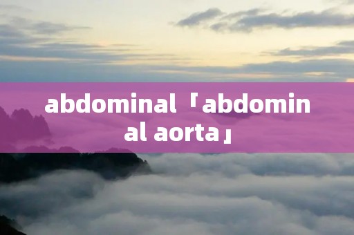 abdominal「abdominal aorta」 abdominal「abdominal aorta」