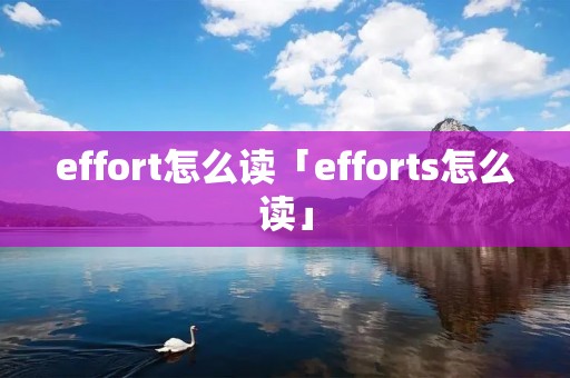 effort怎么读「efforts怎么读」