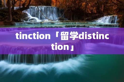 tinction「留学distinction」