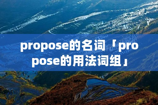 propose的名词「propose的用法词组」
