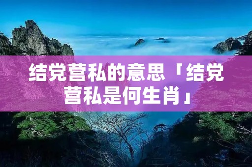 结党营私的意思「结党营私是何生肖」