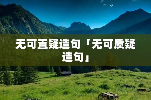 无可置疑造句「无可质疑造句」