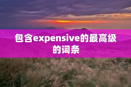 包含expensive的最高级的词条