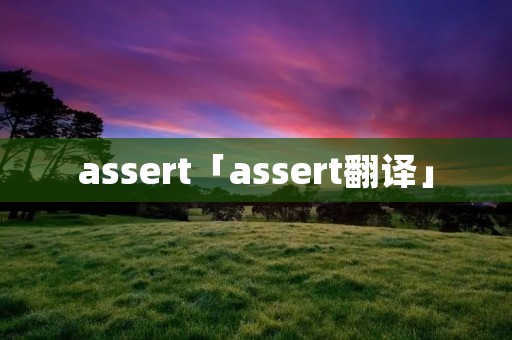 assert「assert翻译」