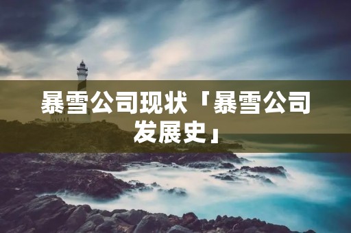 暴雪公司现状「暴雪公司发展史」 暴雪公司现状「暴雪公司发展史」