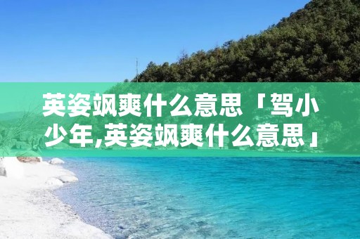 英姿飒爽什么意思「驾小少年,英姿飒爽什么意思」