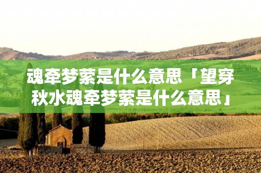 魂牵梦萦是什么意思「望穿秋水魂牵梦萦是什么意思」