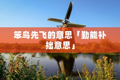 笨鸟先飞的意思「勤能补拙意思」